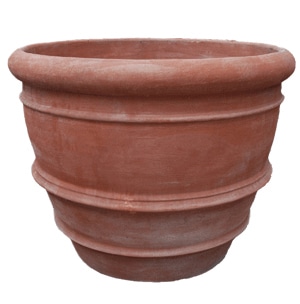 Italian Terracotta Classic Roll Rim Planter