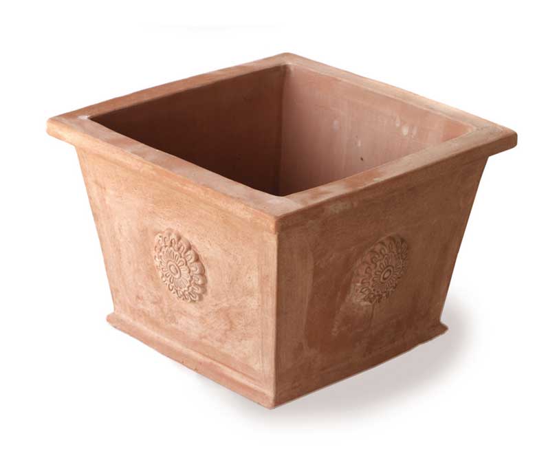 Cesta Rosa Eye of the Day Garden Design Center