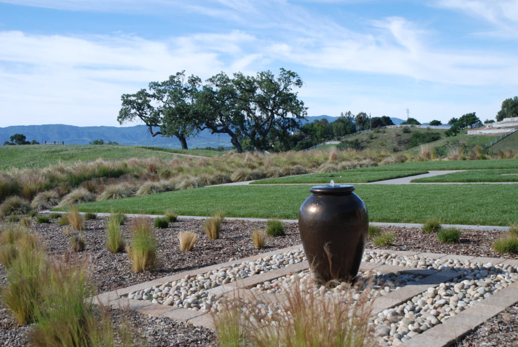 Drought Tolerant Planting