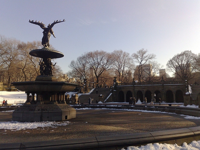 Eye of the Day Garden Design Center|Bethesda Fountain NYC|City Fountains