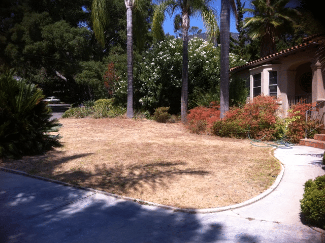 Eye of the Day Garden Design Center|Sally Farnum design|Before and After shots of landscape design in California