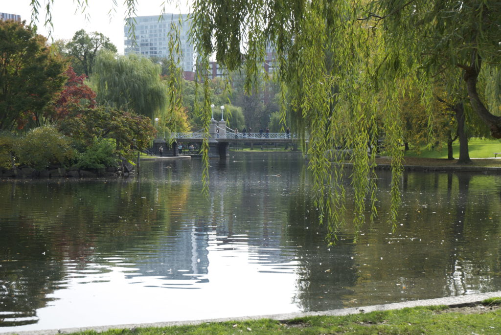 Boston Garden Lake & Bridge - Brent Travel Photo