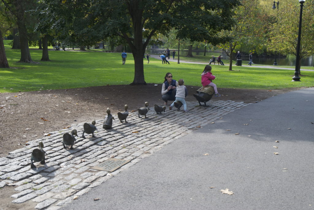 Eye of the Day Garden Design Center|A row of ducks Boston Garden|Boston and NYC trip