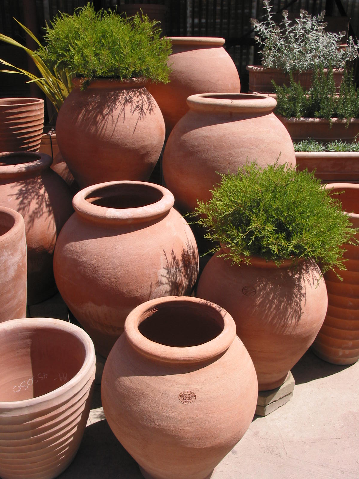 Terra Cotta, Clay Pot Planters