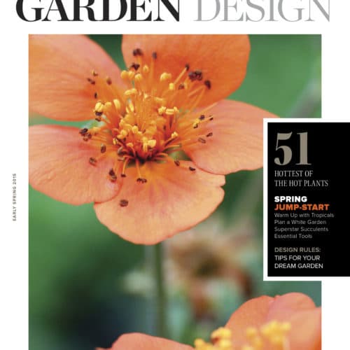 Eye of the Day|Spring Garden Design |
