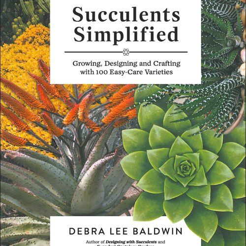 Eye of the Day|Succulents Simplified| Debra Lee Baldwin book review