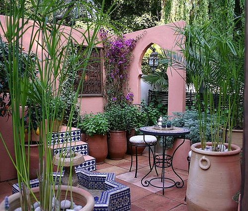 Eye of the Day|Moroccan Garden|Newsletter