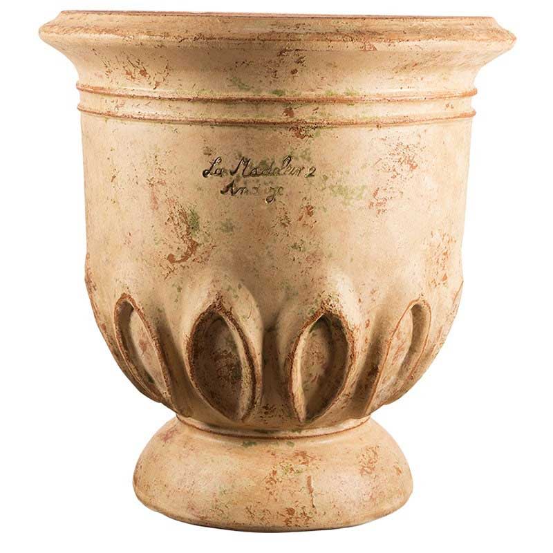 Fench Anduze Tulip Vase in Patine Ancienne