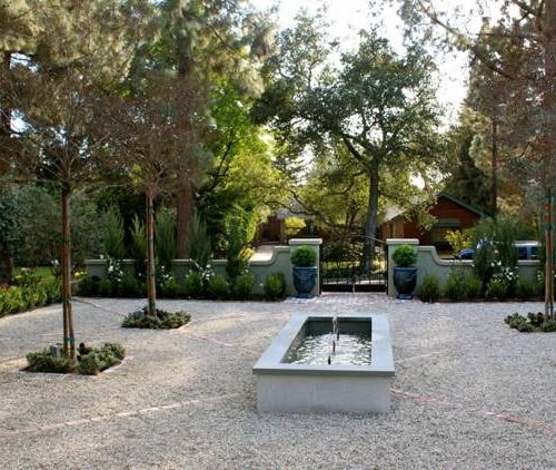 Eye of the Day|Sally Farnum Landscape Architect|garden design drought