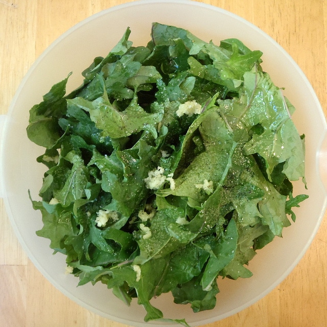 Eye of the Day|Kale and Cilantro Salad|Edible Garden Container