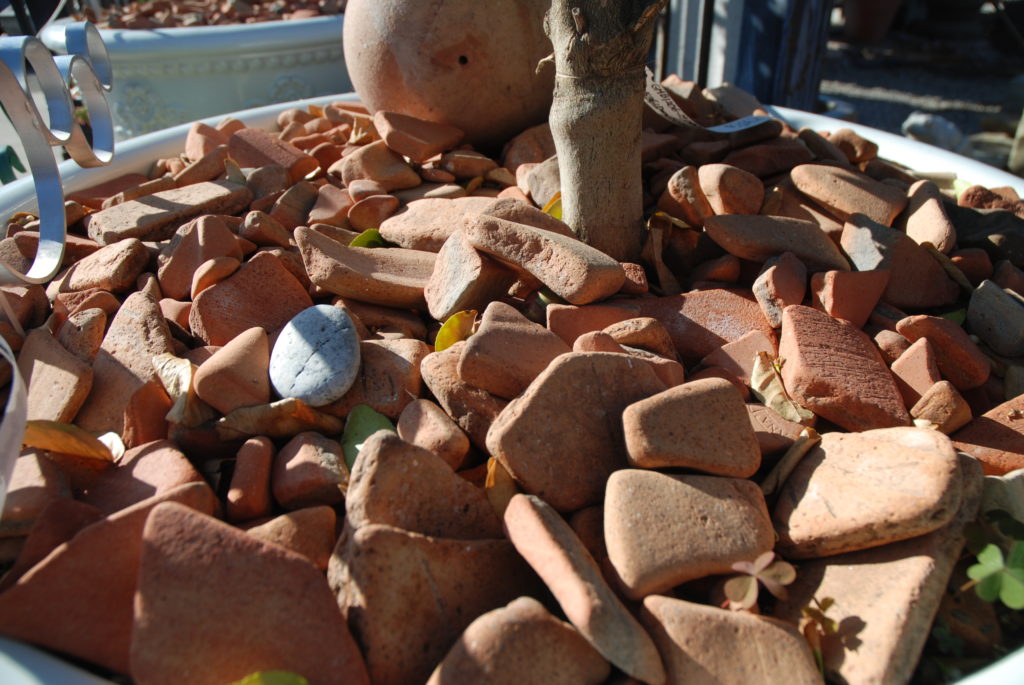 Eye of the Day|Tumbled Terracotta Pot Topper|Baked Earth 