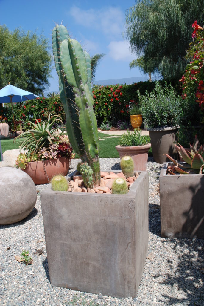 Eye of the Day|Tumbled Terracotta Pot Topper|Baked Earth 