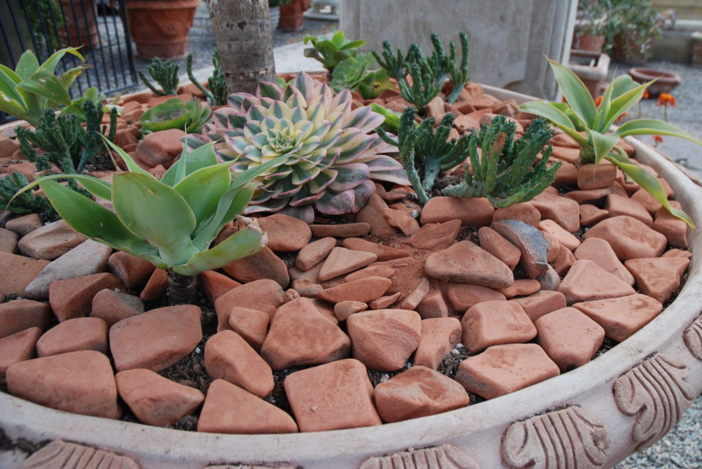 Eye of the Day|Tumbled Terracotta Pot Topper|Baked Earth 