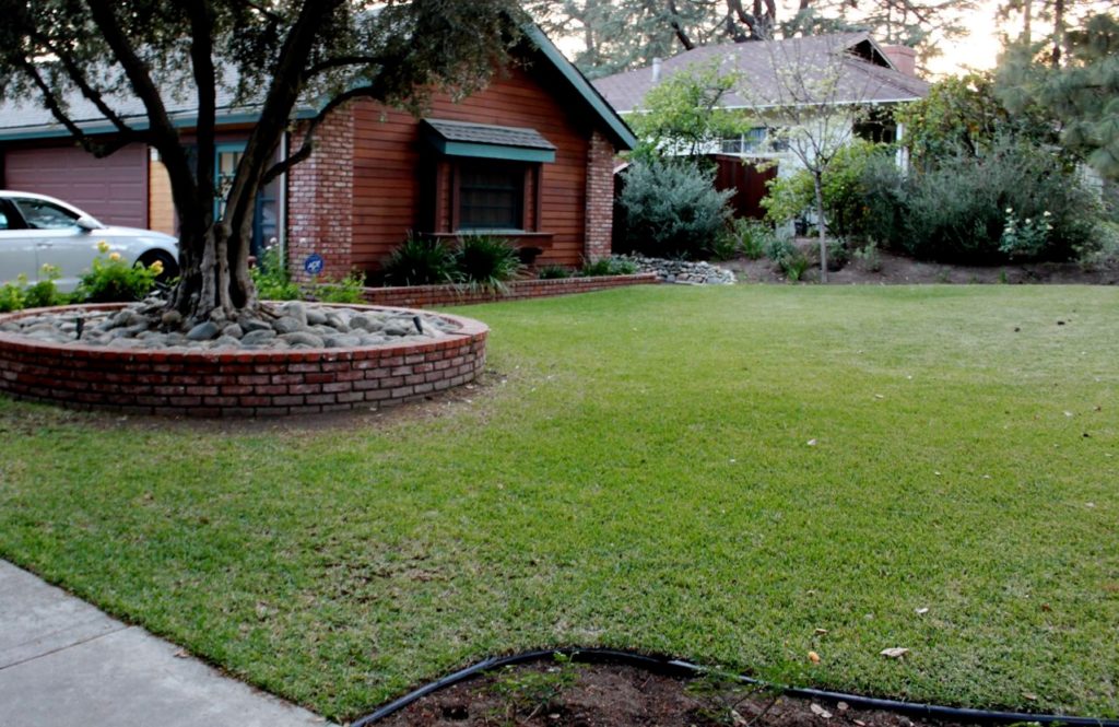 Eye of the Day Garden Design Center|Sally Farnum Before and After garden design|drought 