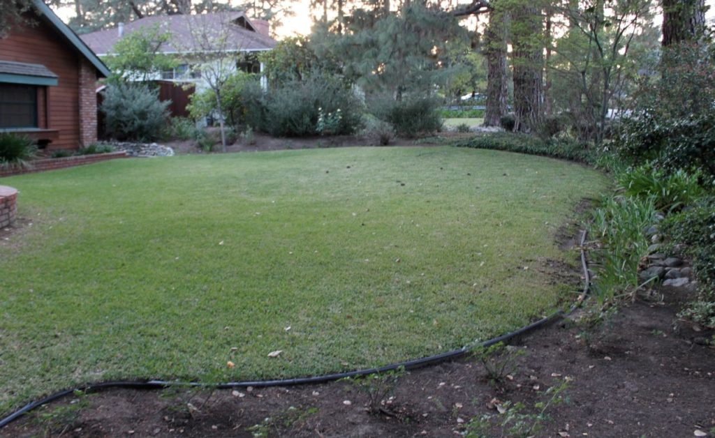 Eye of the Day Garden Design Center|Sally Farnum Before and After garden design|drought 