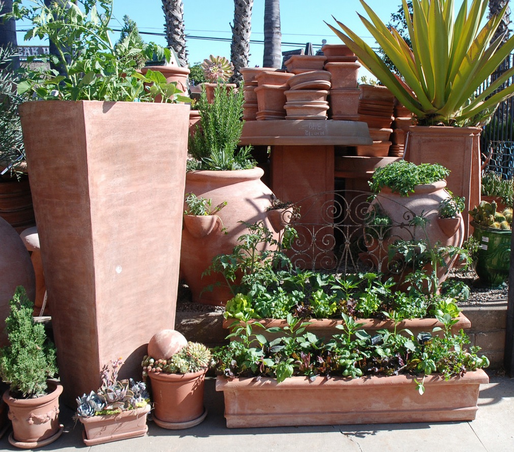 Edible Container Gardening 101 Eye Of The Day Garden Design Center Edible Container Gardening 101 Eye Of The Day Garden Design Center