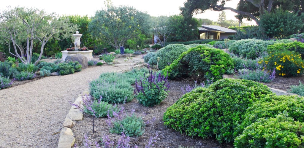 Eye of the Day|Montecito Landscape|Garden Carpinteria Design