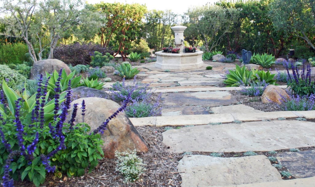 Eye of the Day|Montecito Landscape|Garden Carpinteria Design