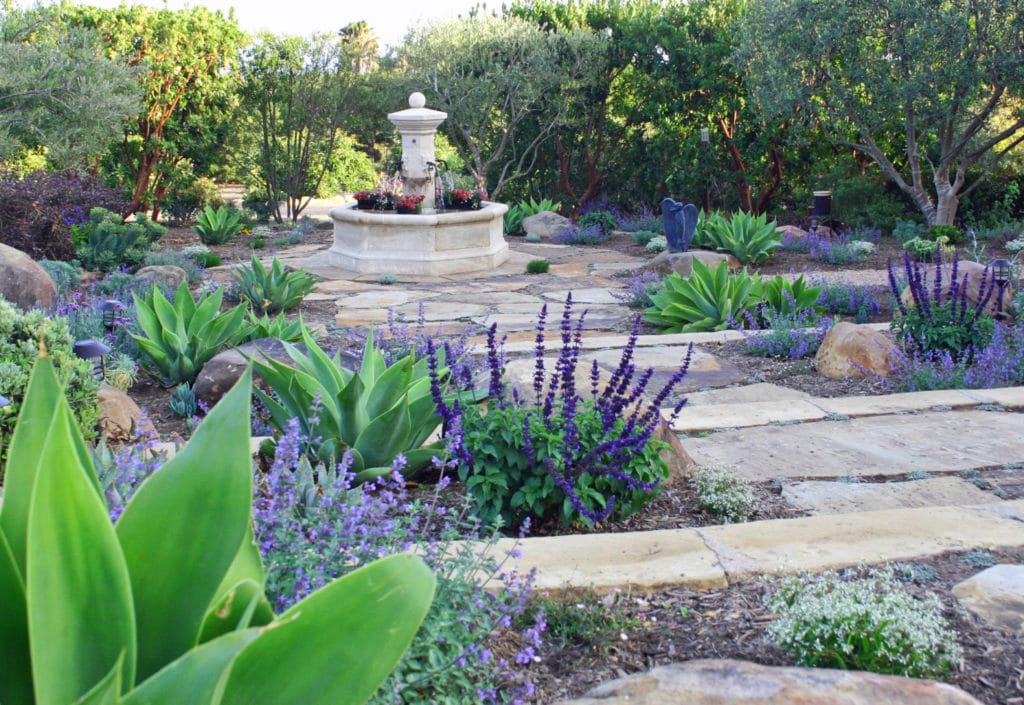 Eye of the Day|Montecito Landscape|Garden Carpinteria Design