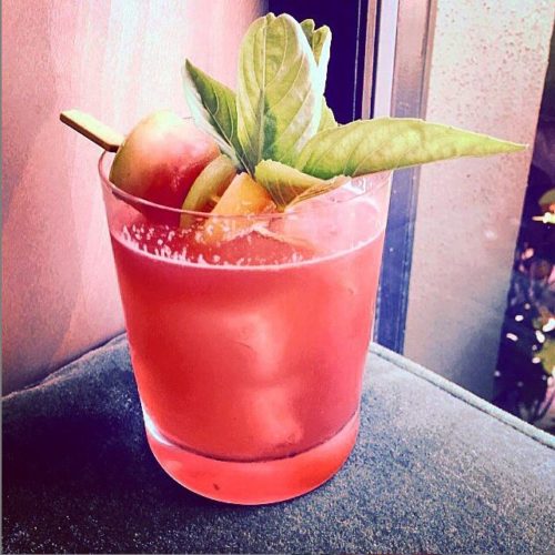 Eye of the Day|Watermelon Garden Cocktail|Edible garden