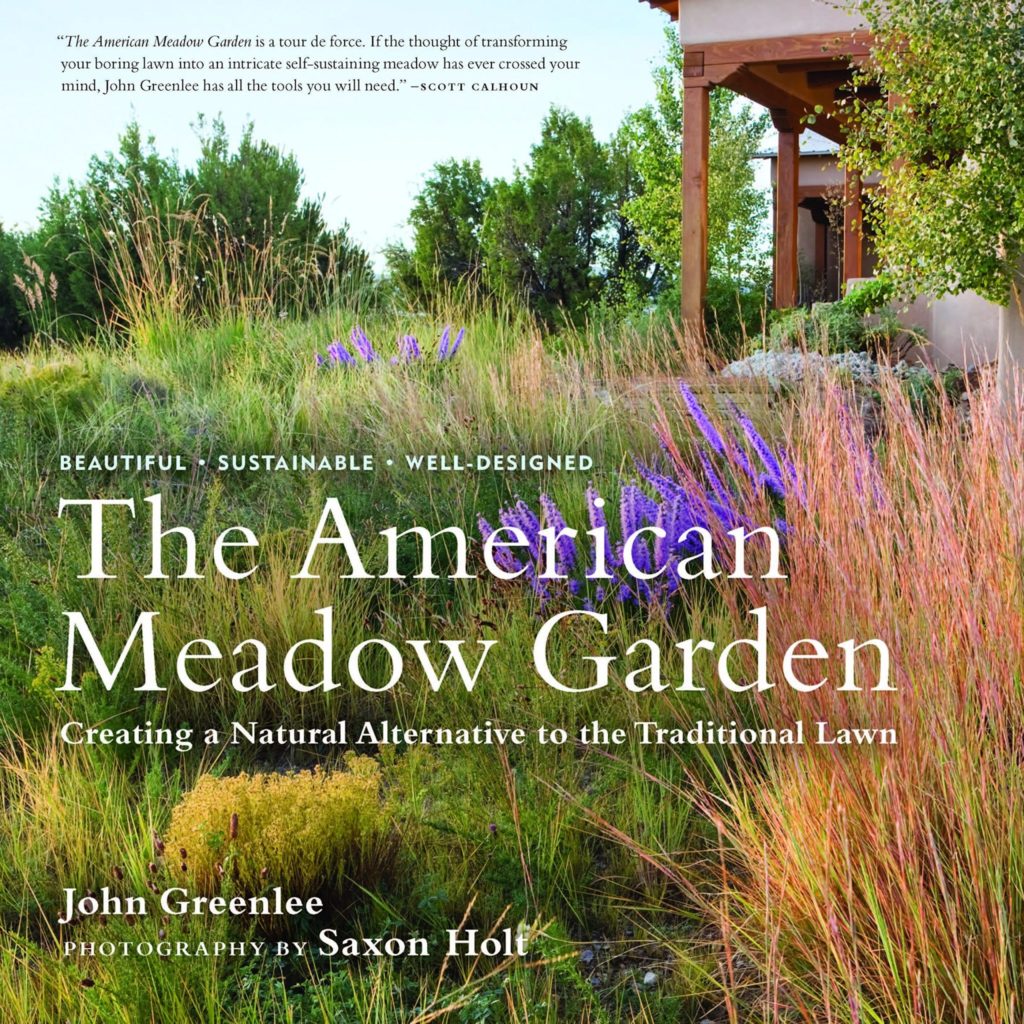 Eye of the Day|American meadow|John Greenlee