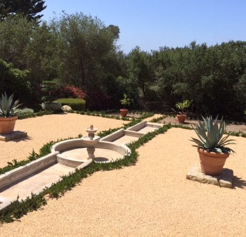 Eye of the Day|Blue Agave Landscape| Garden Design