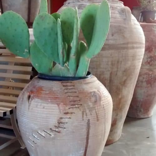 Eye of the Day|Antique Spanish oil jars|terracotta pottery