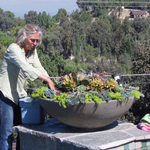 Jennifer Voss|Gardefacts|California Garden Design