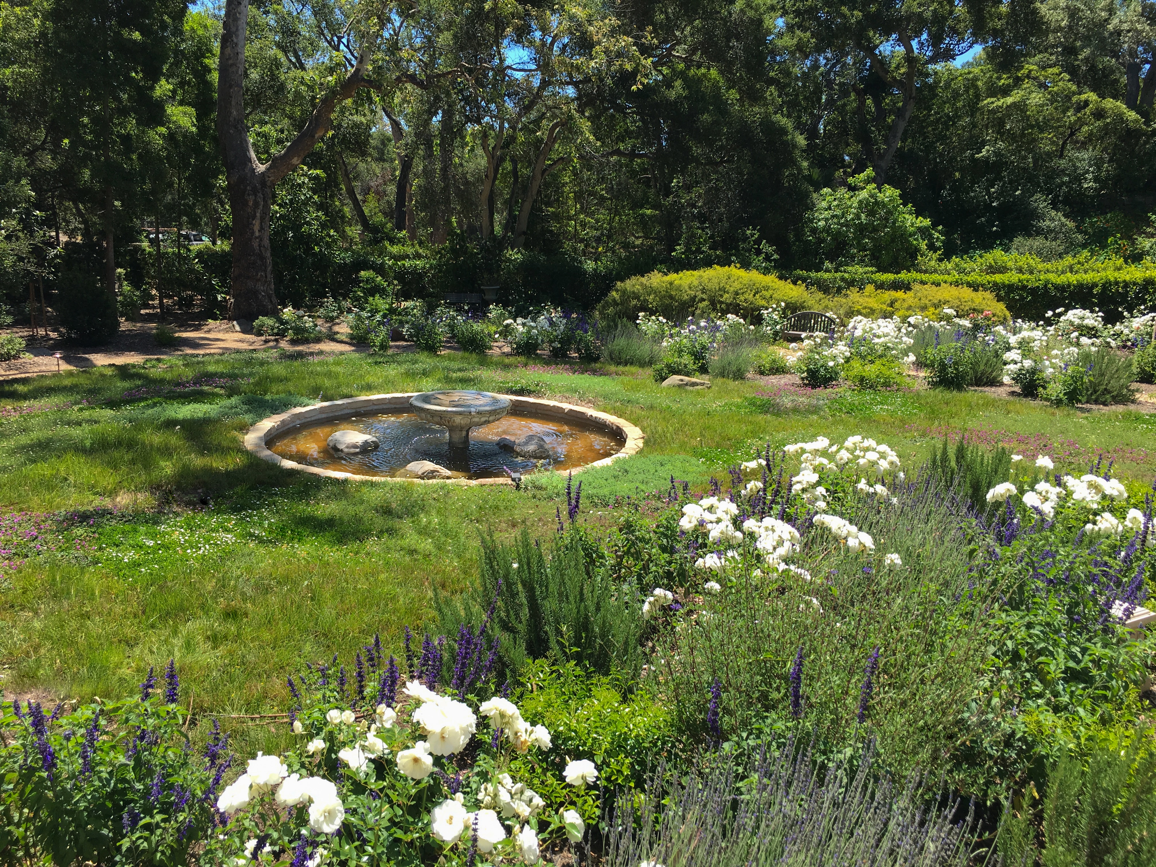 Chris Cullen, Montecito Landscape - Eye of the Day Garden ...