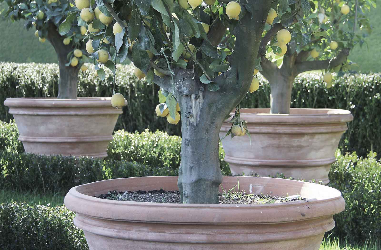 Italian Planters & Pots | Terracotta pottery | Eye of the Day Garden Design  Center