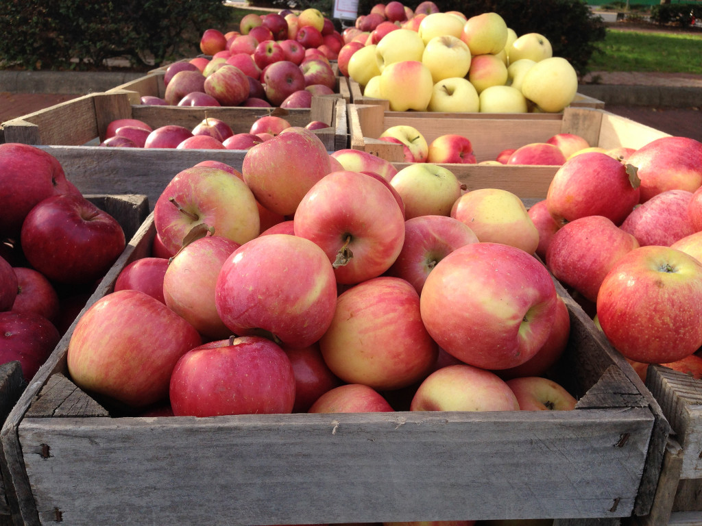 Eye of the Day|Garden Cocktails| Apple and Celery 