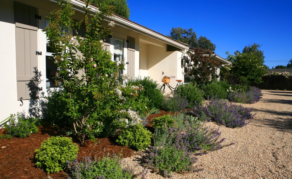 Eye of the Day|Lisa Cox Landscape Design|Before and After European Farmhouse 