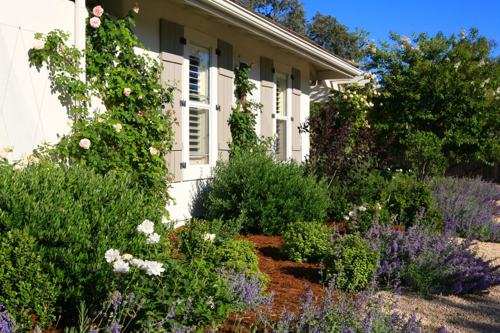 Eye of the Day|Lisa Cox Landscape Design|Before and After European Farmhouse 