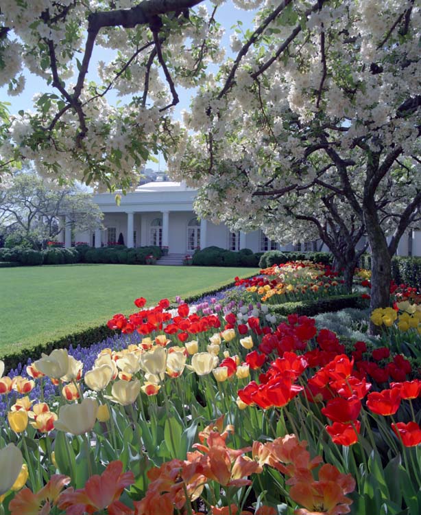 Book Review | All the Presidents' Gardens | White House garden design 
