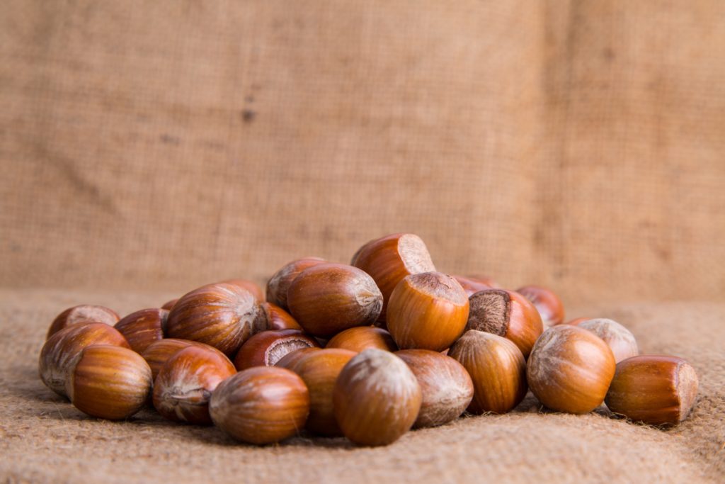 Eye of the Day |Garden Recipes| Ryan Filbert Salad hazelnut