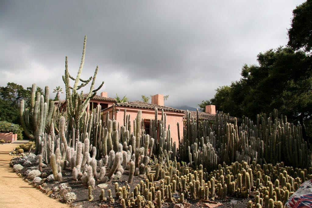 Lotusland profile | Eric Nagelmann | cactus garden