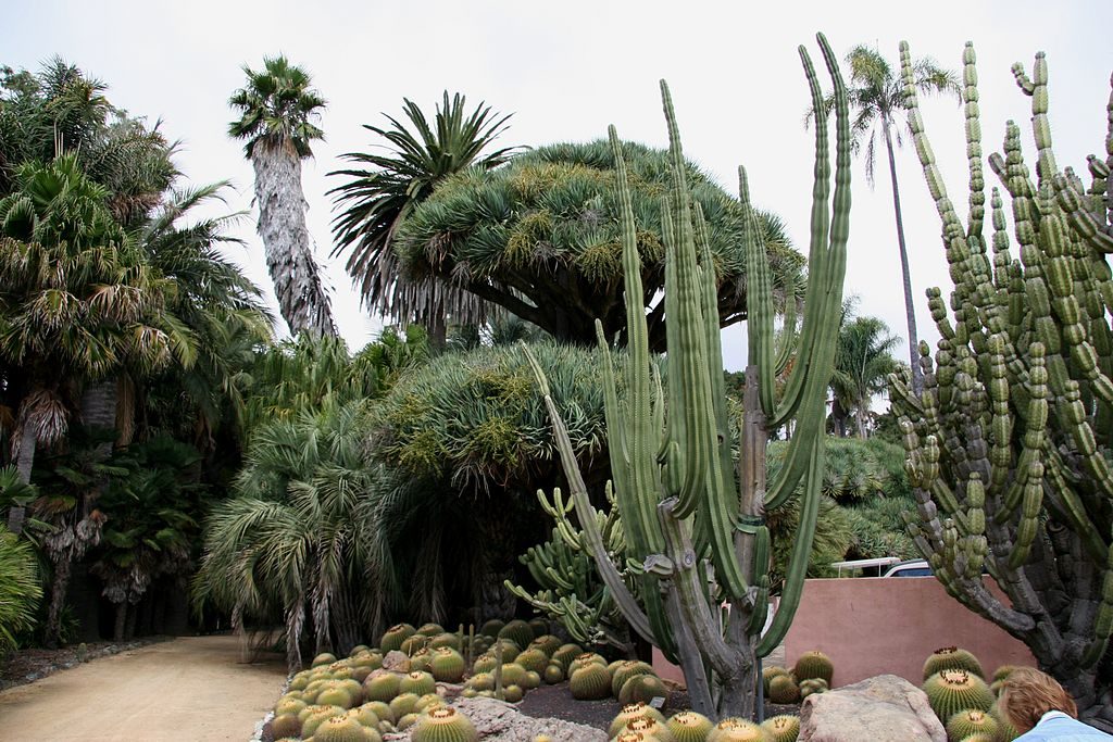 Lotusland profile | Eric Nagelmann | cactus garden