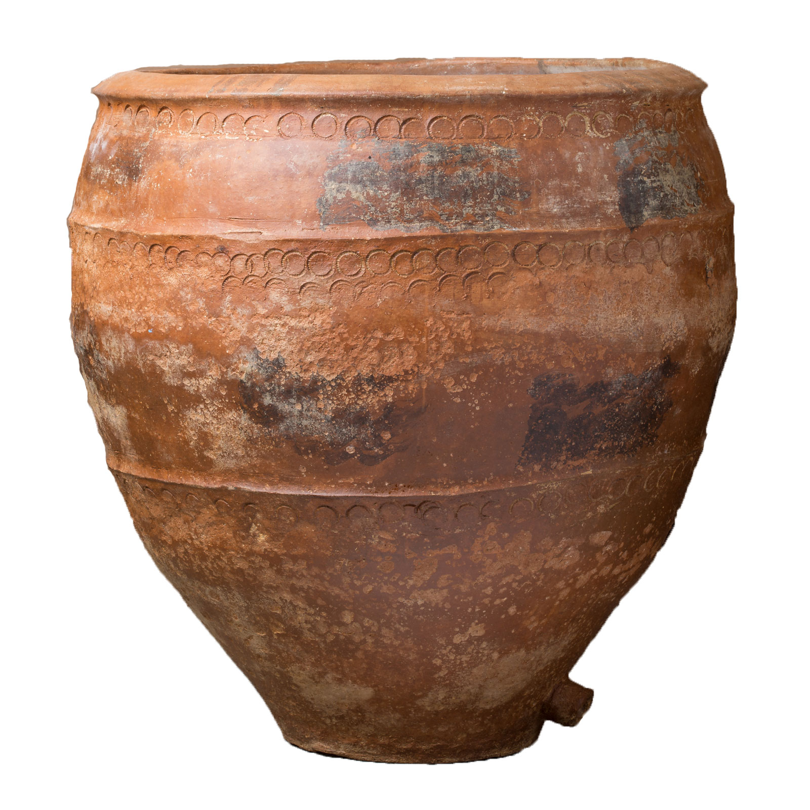 Flower Pot of Aragon