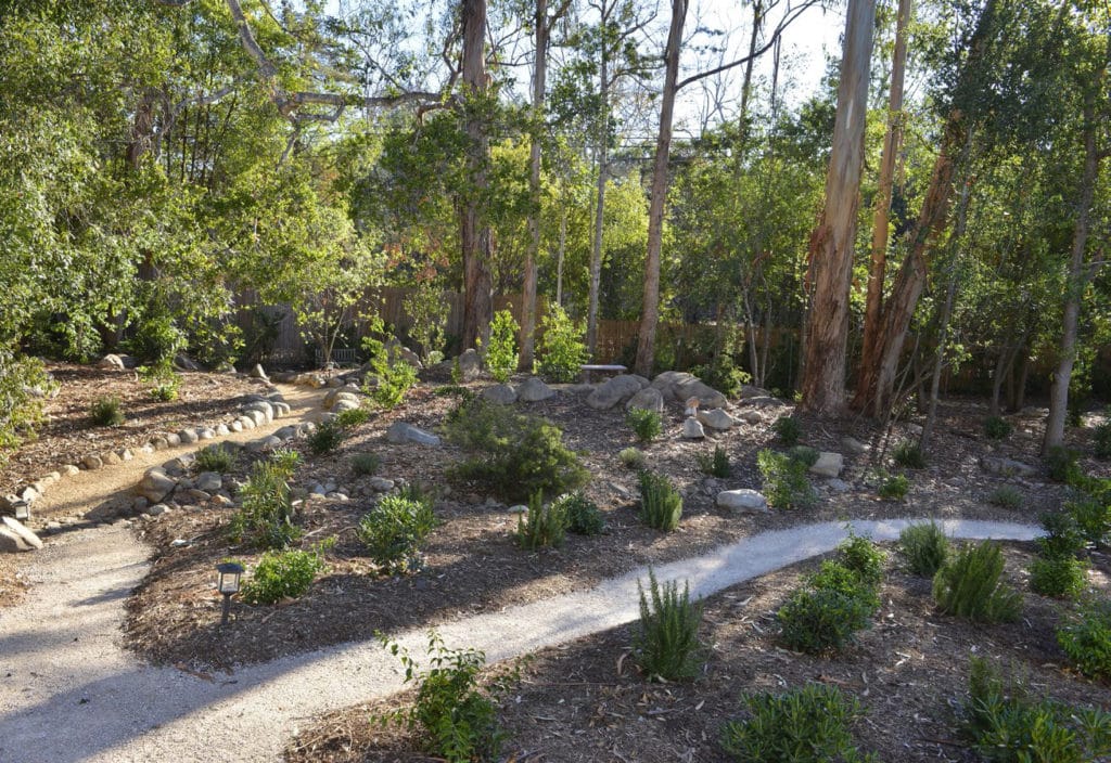 Garden Design | Montecito Landscape | Cullen Meadow
