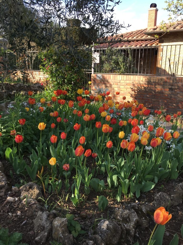 Antiques Italy | Eye of the Day Garden