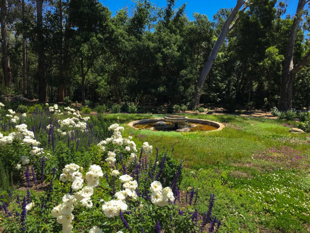 Garden Design | Montecito Landscape | Cullen Meadow