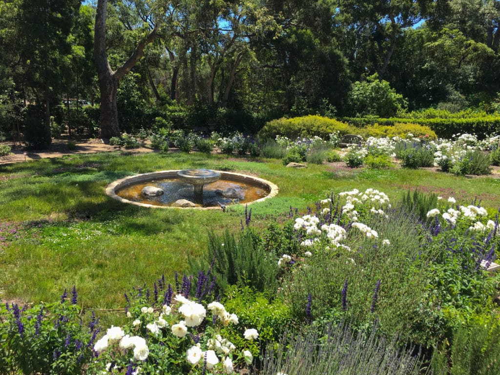 Garden Design | Montecito Landscape | Cullen Meadow