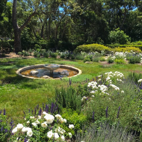 Garden Design | Montecito Landscape | Cullen Meadow