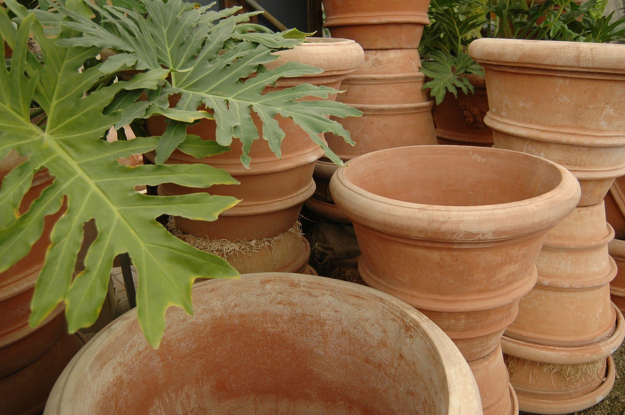 Tall Terracotta White Planter