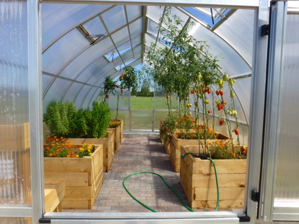 EXACO Trading Greenhouse Garden 