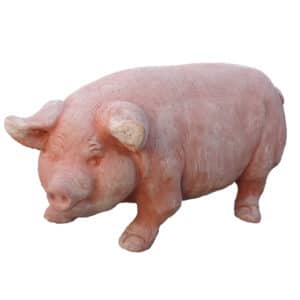 Terracotta Pig