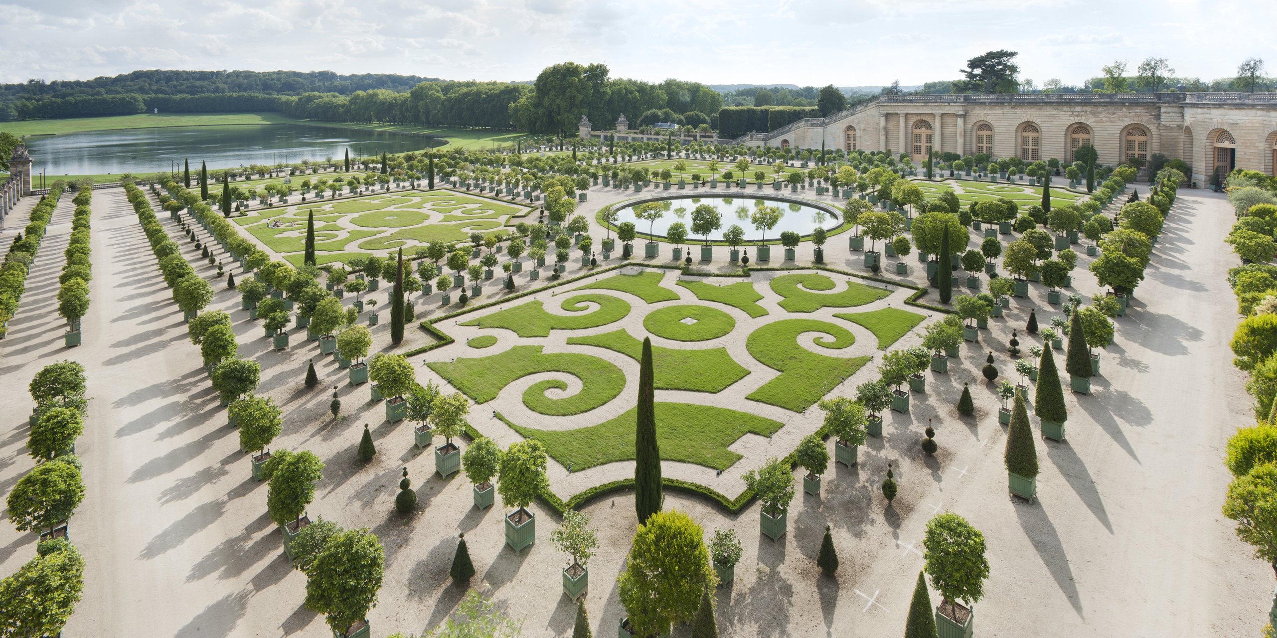 The History Of Versailles Citrus Planter Boxes Eye Of The Day Garden Design Center