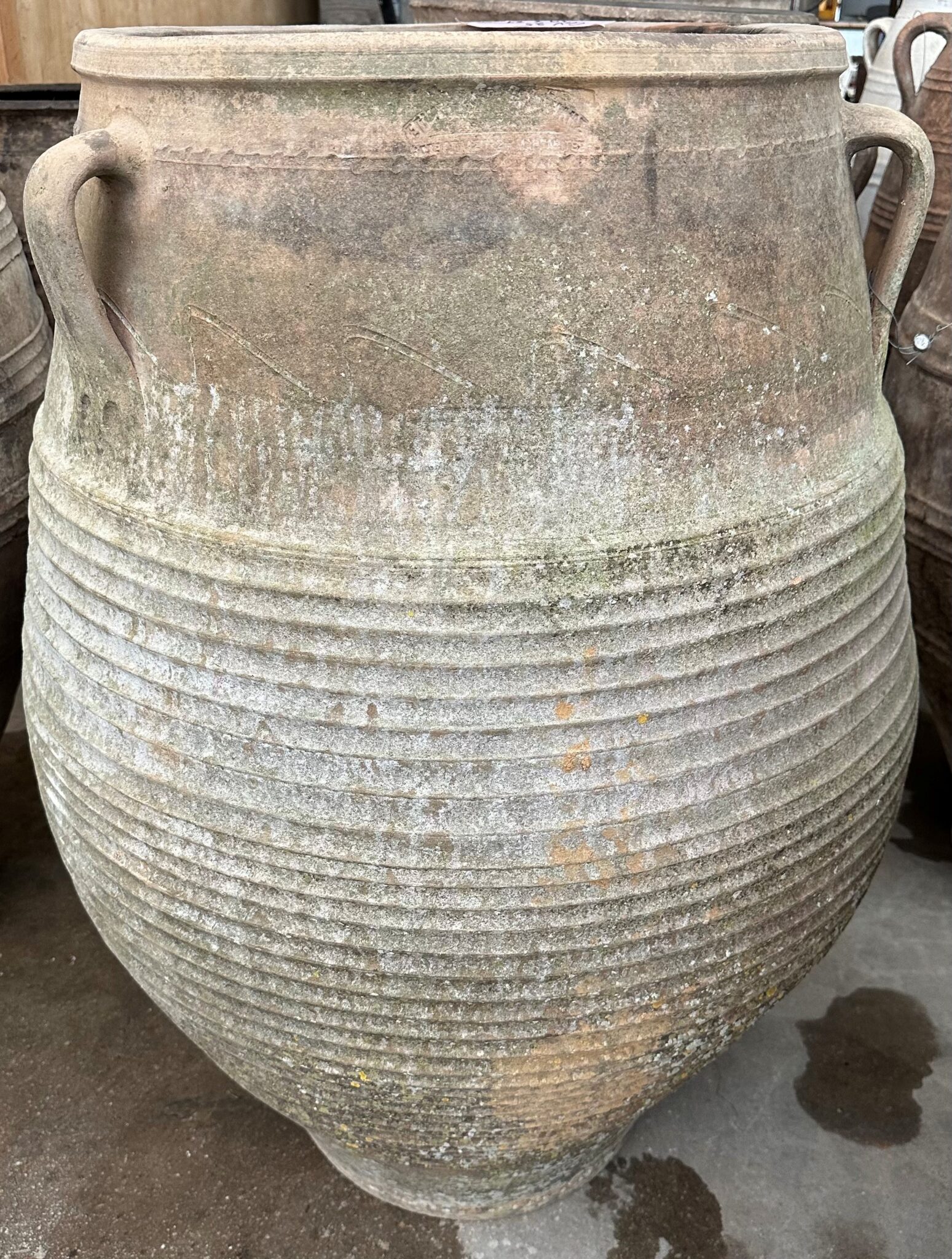 vintage Greek Pithari oil jar with a white wash finish and natural patina