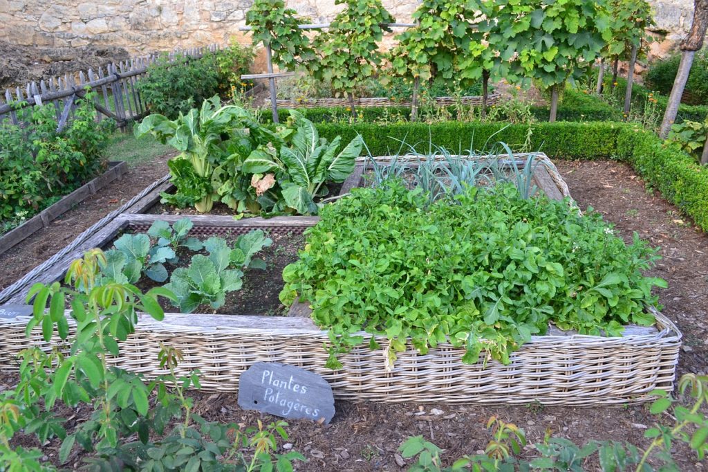 French kitchen Garden - Potager