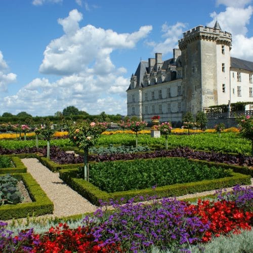 French kitchen Garden - Potager